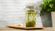 A Seasonal Tea Guide