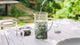 Japanese Tea
